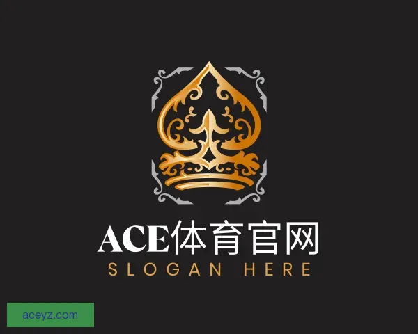 认识ACE体育官网