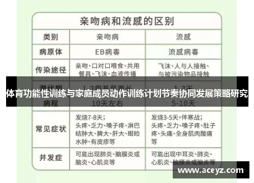 体育功能性训练与家庭成员动作训练计划节奏协同发展策略研究