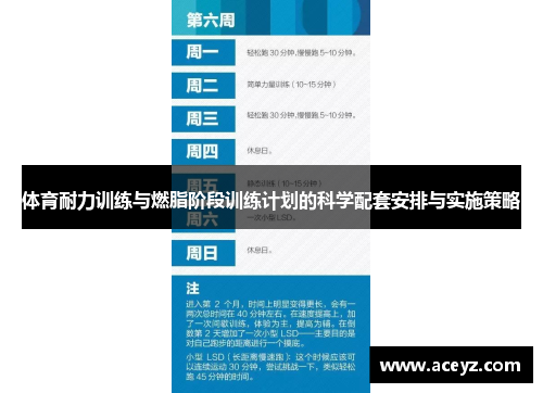 体育耐力训练与燃脂阶段训练计划的科学配套安排与实施策略