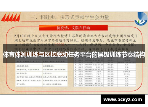 体育体测训练与区校联动任务平台的层级训练节奏结构