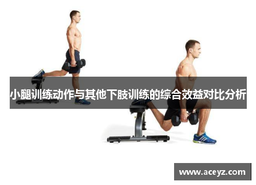 小腿训练动作与其他下肢训练的综合效益对比分析